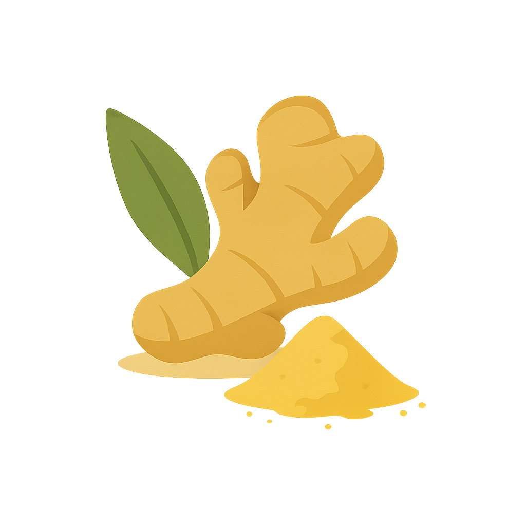 Color-block illustration of ginger root.