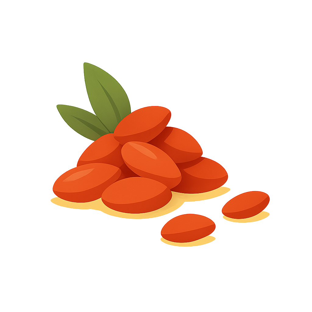 Color-block illustration of goji berries.