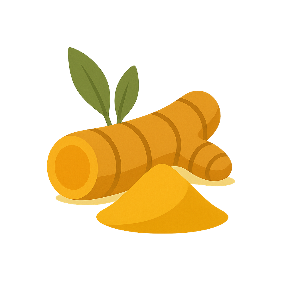 Color-block illustration of turmeric root.